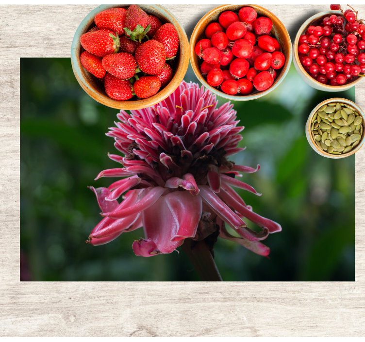 Podkładka na stół oryginalna tropikalny bukiet kwiatów - TenStickers