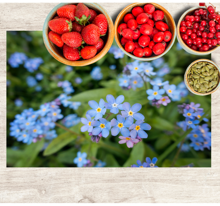 Podkładki na stół w kwiaty Słodkie małe niebieskie kwiaty - TenStickers