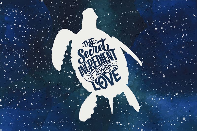 Podkładki na stół żółw w kosmosie - TenStickers