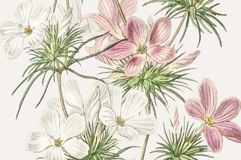 Eleganckie podkładki na stół Subtelne orchidee - TenStickers