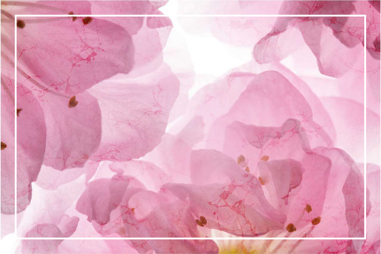 Podkładka na stół elegancka w delikatny kwiatowy wzór - TenStickers