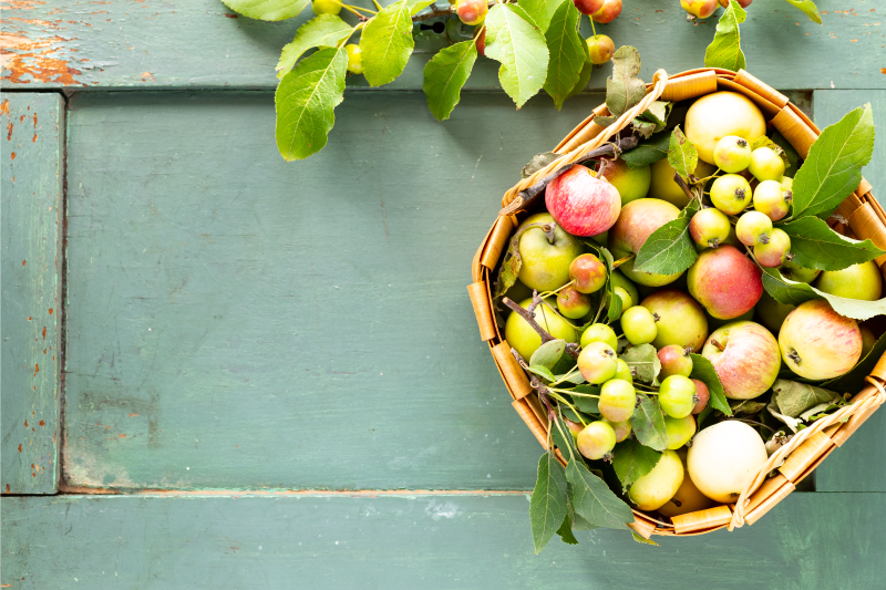 Podkładka na stół do domu z aranżacją owoców - TenStickers