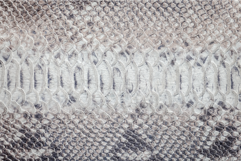 Podkładka na stół z wzorami skórka węża - TenStickers