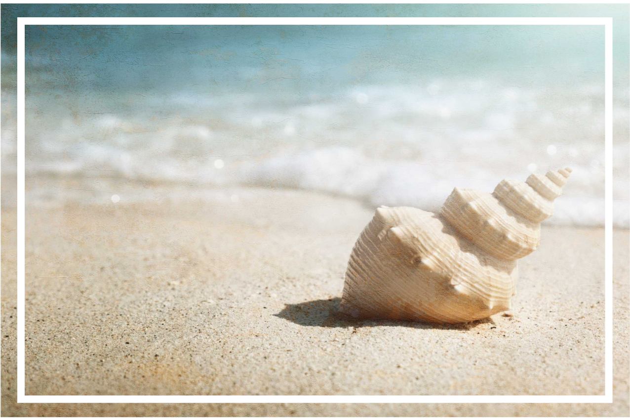 Podkładka na stół oryginalna elegancki wyświetlacz muszli - TenStickers