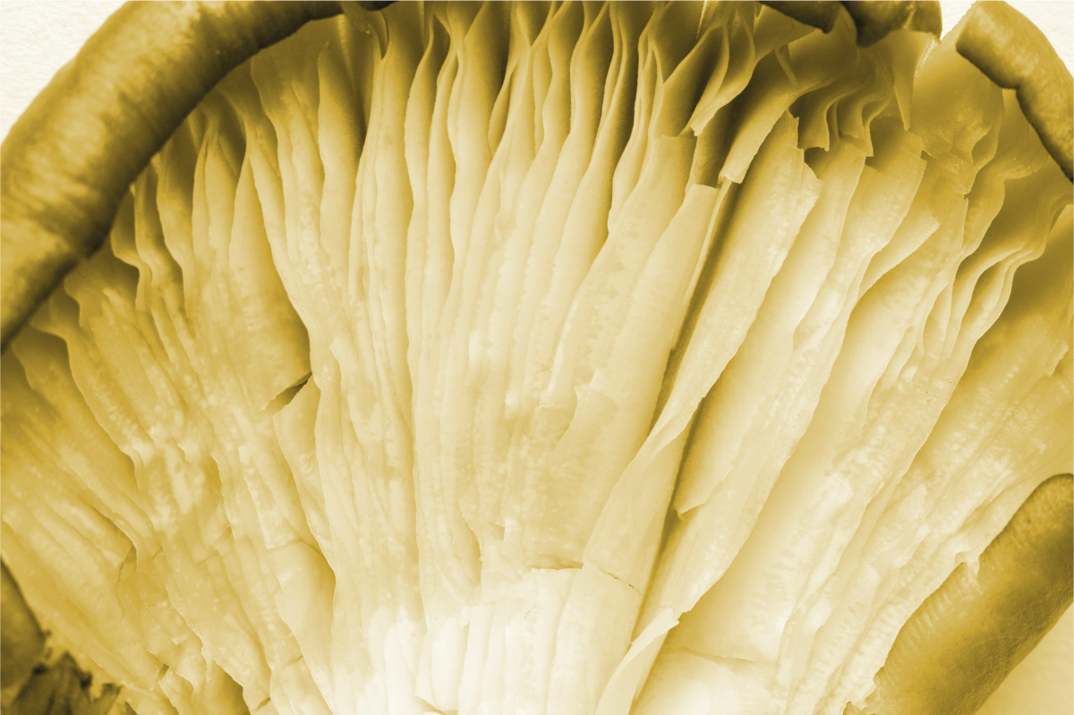 Podkładka na stół z wzorami warstwy zakrzywionych liści - TenStickers