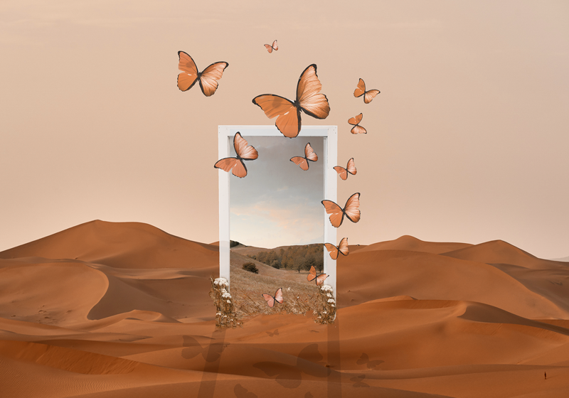 Podkładka na stół oryginalna motyw motyli w ramce - TenStickers