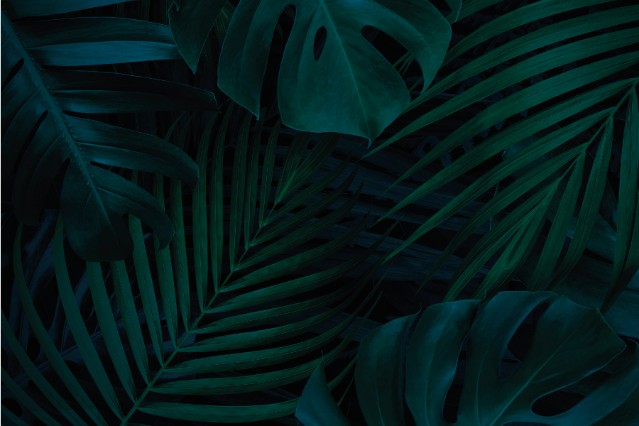 Podkładka na stół z wzorami tropikalne liście - TenStickers