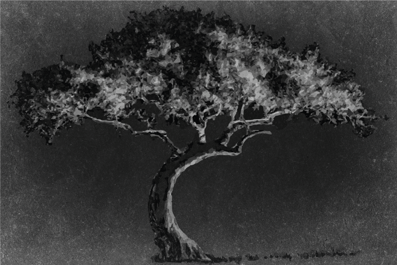 Podkładka na stół z wzorami silueta artystycznego drzewa - TenStickers