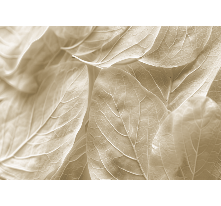 Fototapeta do sypialni duże beżowe liście - TenStickers