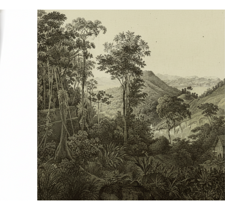 Fototapeta las wzgórzysty las - TenStickers