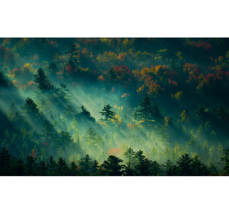 Fototapeta las tajemniczy las - TenStickers