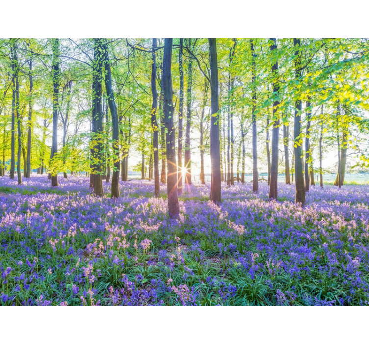 Fototapeta las w nowoczesnym stylu inspirowanym naturą - TenStickers