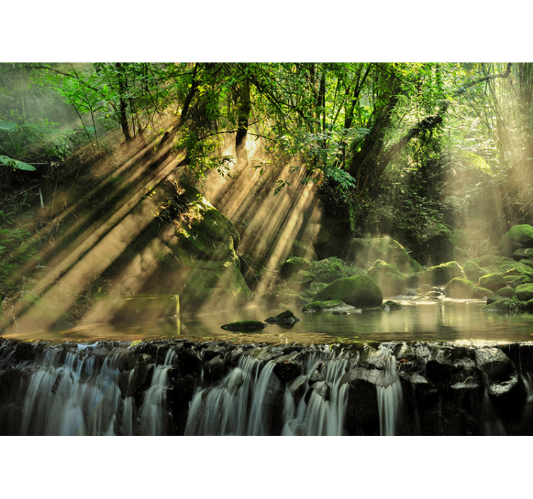 Fototapeta krajobraz tajny las - TenStickers