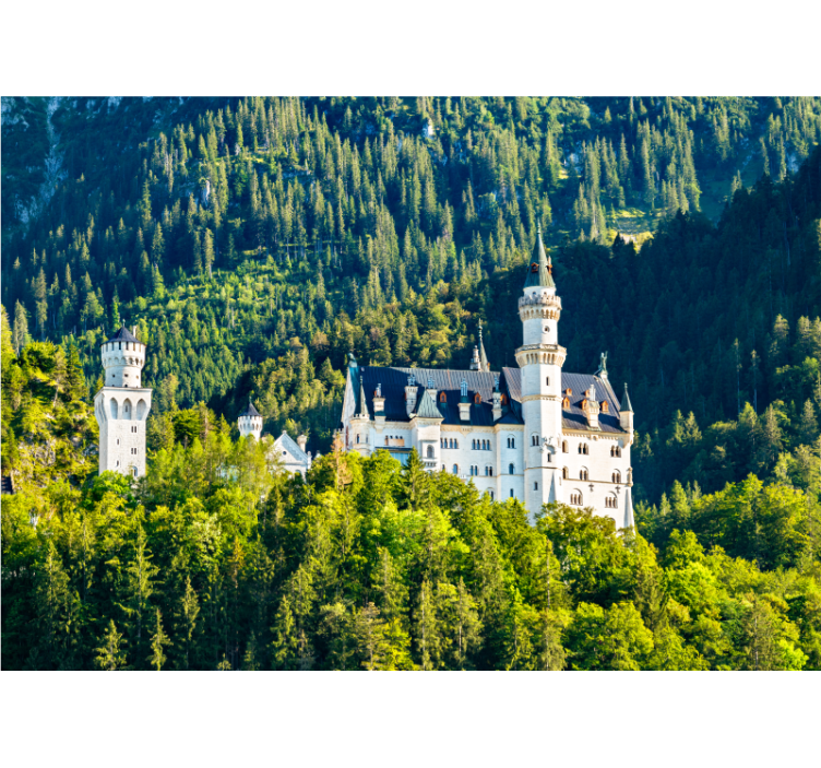Fototapeta miasto zamek neuschwanstein widok - TenStickers