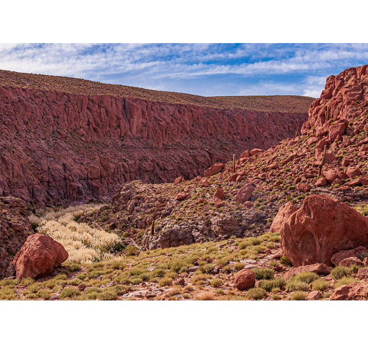 Fototapeta góry czerwony krajobraz pustyni - TenStickers