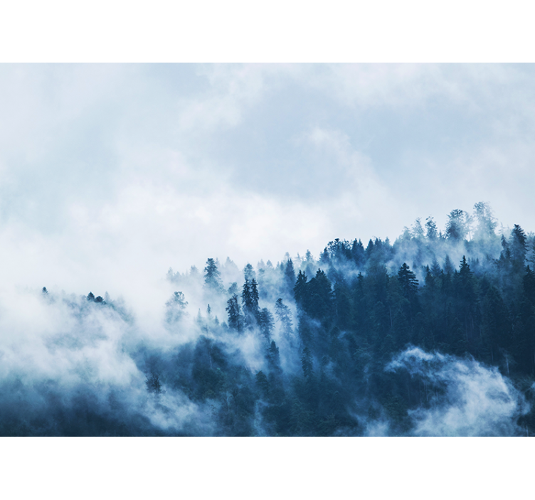 Fototapeta natura krajobraz leśny w mgle - TenStickers