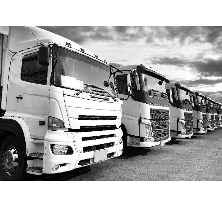 Fototapeta z pojazdami zestaw ciężarówek - TenStickers