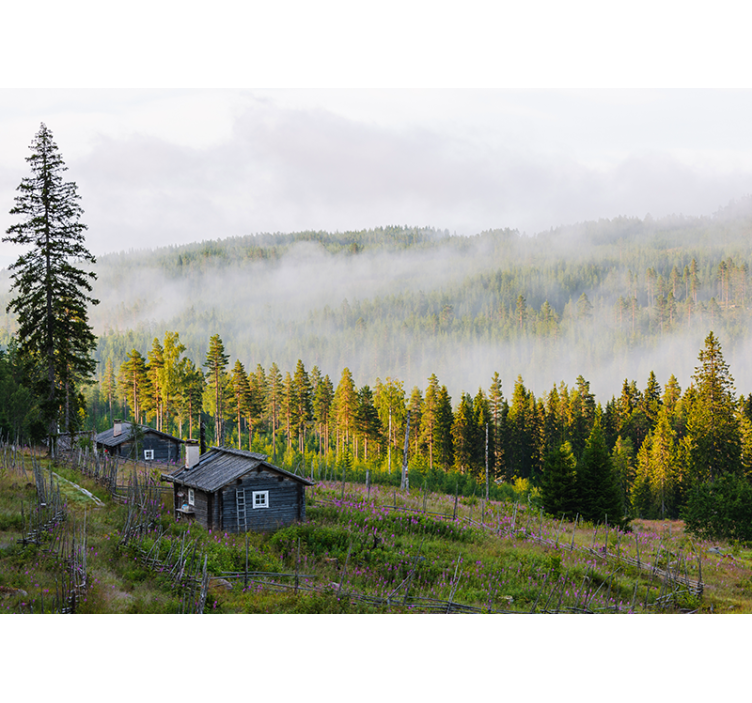 Fototapeta krajobraz las pokryty mgłą - TenStickers