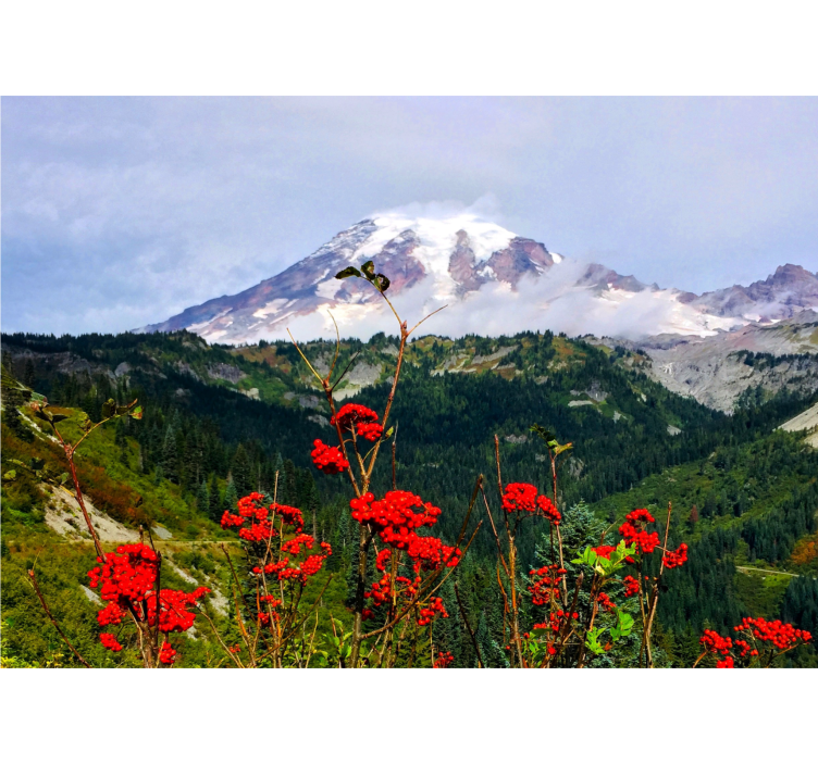 Fototapeta krajobraz góra pokryta śniegiem - TenStickers