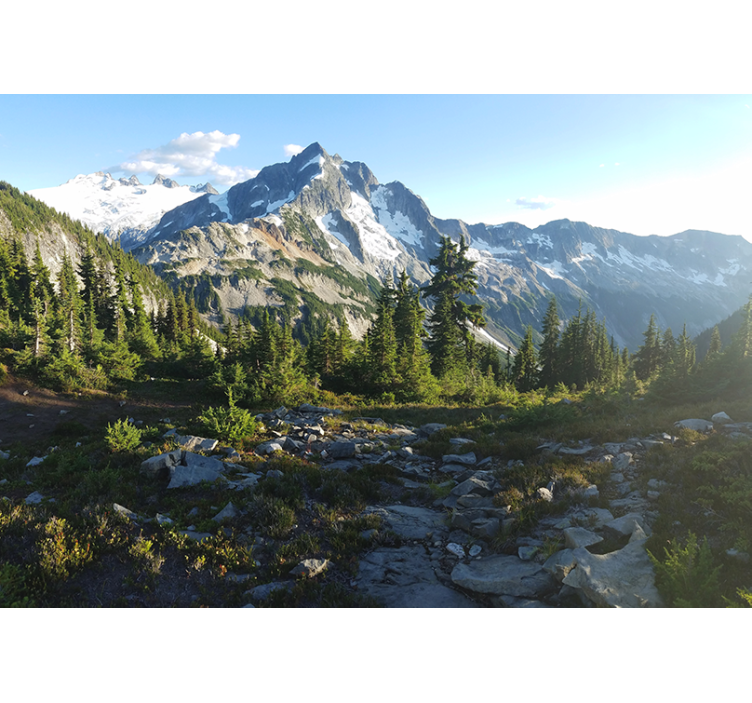 Fototapeta krajobraz widok na górski las - TenStickers