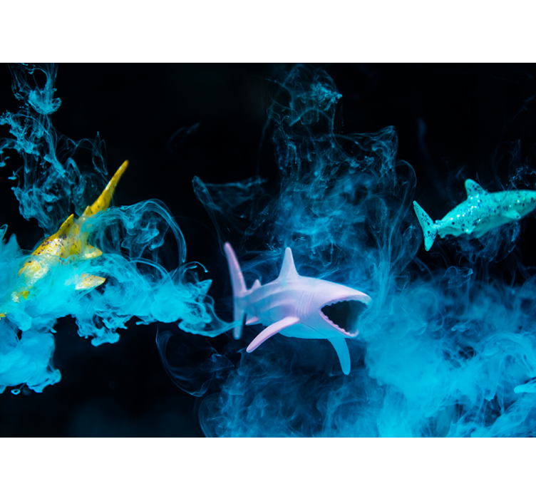 Fototapeta zwierzęta ilustracja kolorowej rekina - TenStickers