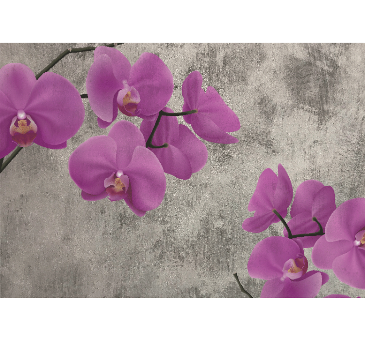 Fototapeta w kwiaty kwiaty różowych orchidei - TenStickers