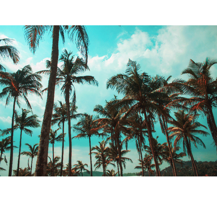 Tapetya natura raj palmowy - TenStickers