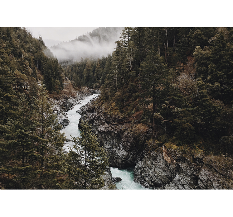 Fototapeta natura pejzaż majestatycznej rzeki - TenStickers
