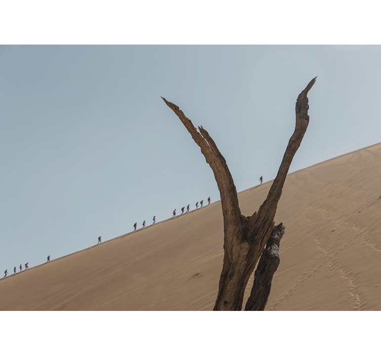 Fototapeta pustynia sylwetka wędrowca wydmowego - TenStickers