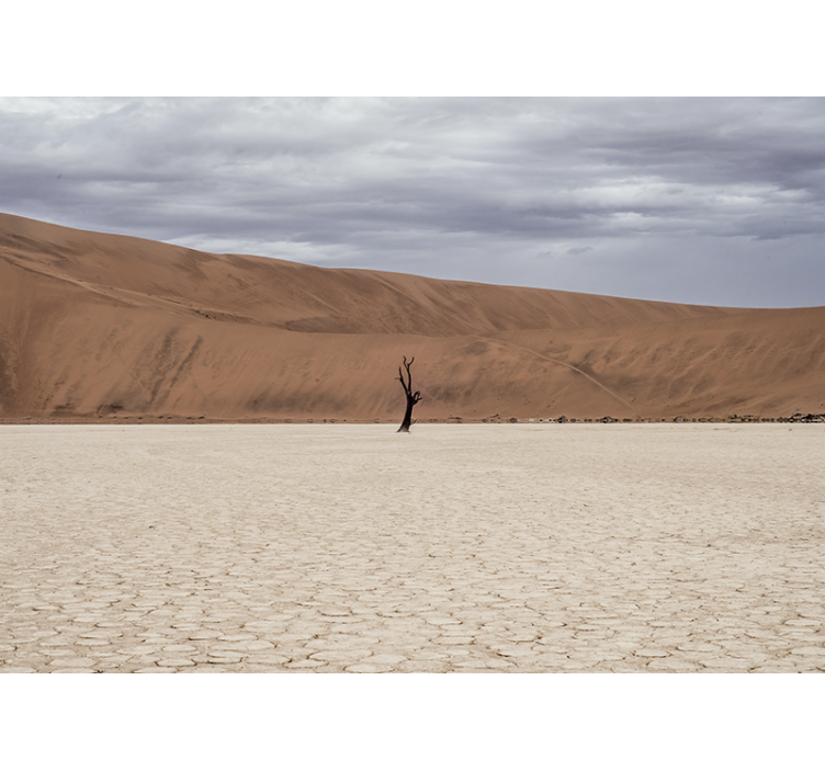 Fototapeta góry widok na pustynny krajobraz - TenStickers