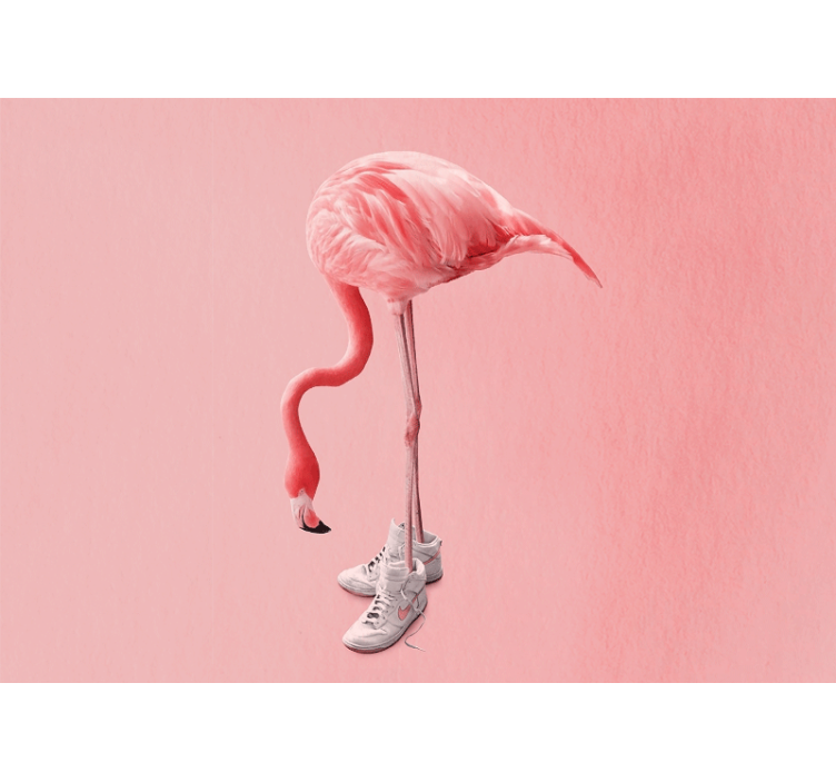 Fototapeta ze zwierzętami flamingo w sneakersach - TenStickers