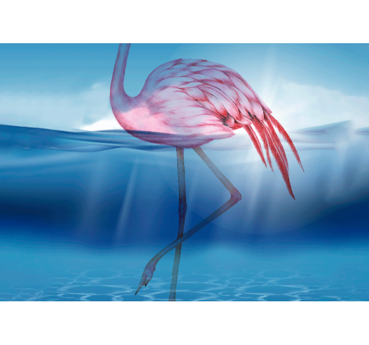 Fototapeta zwierzęta elegancki stojący flamingo - TenStickers