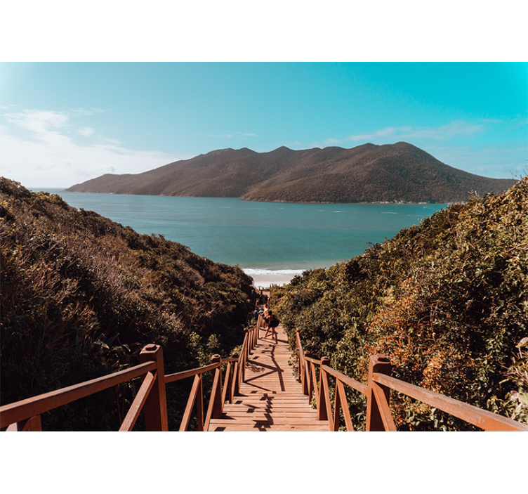 Fototapeta krajobraz spokojna Ścieżka nad oceanem - TenStickers