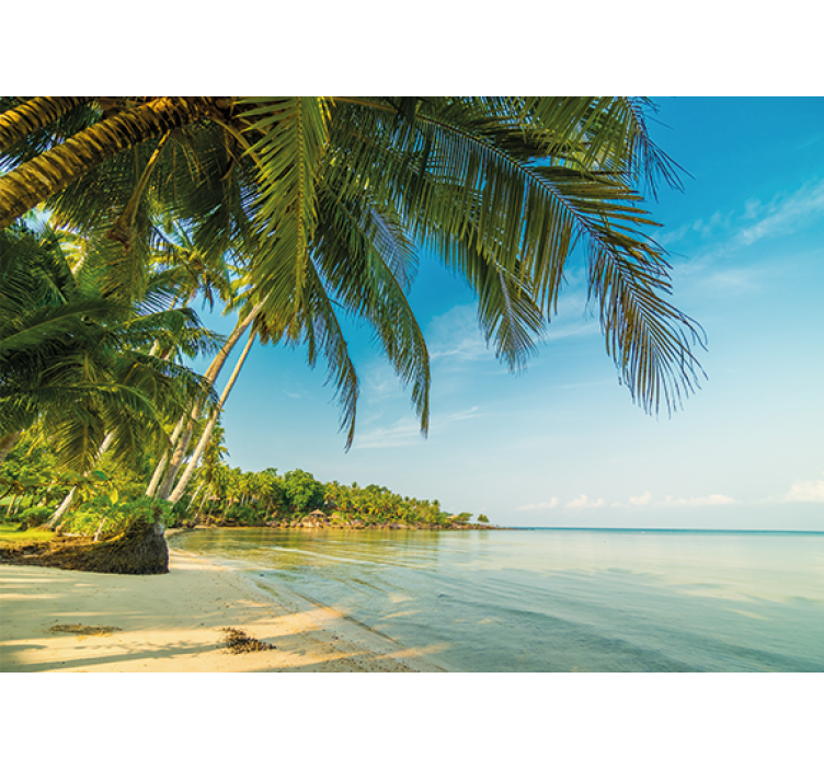 Fototapeta natura spokojna plaża - TenStickers