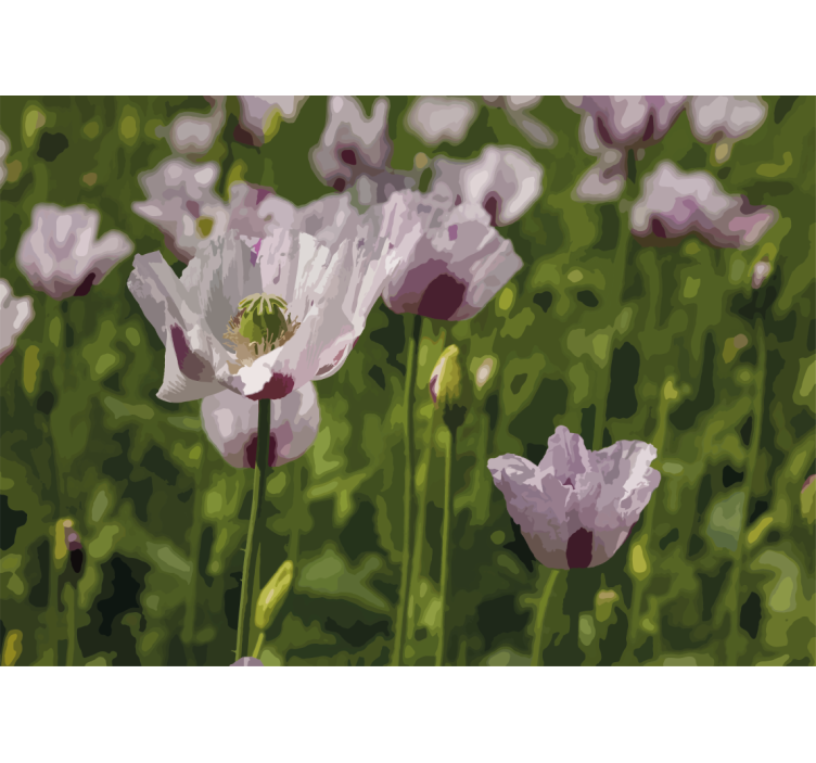 Fototapeta w maki kwiatowa elegancja - TenStickers