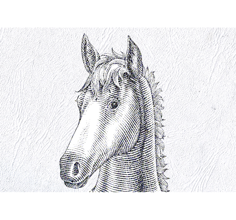 Fototapeta zwierzęta portret eleganckiego konia - TenStickers