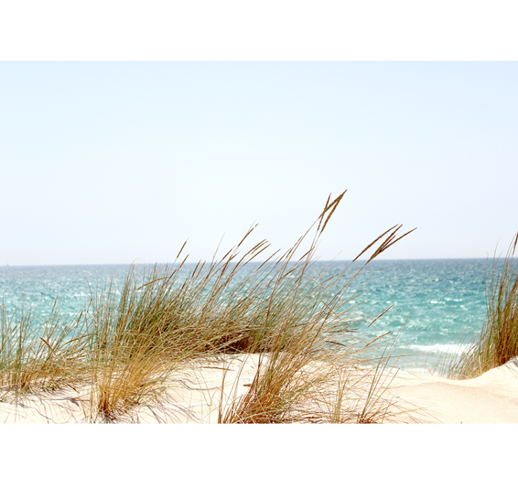 Fototapeta natura spokojny widok na wybrzeże - TenStickers