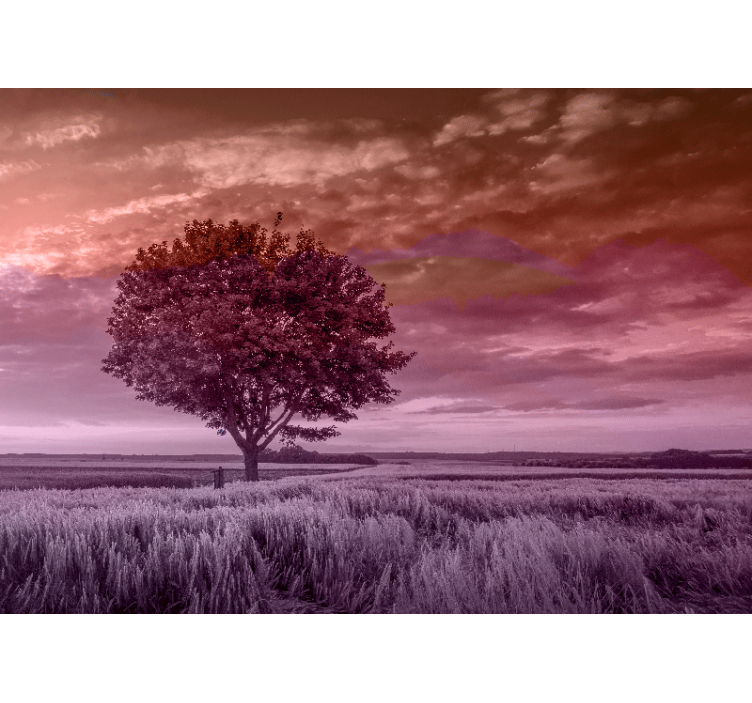 Fototapeta las sylwetka samotnego drzewa - TenStickers