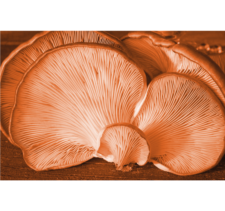 Fototapeta w kwiaty z teksturą grzybów - TenStickers