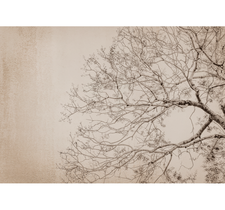 Fototapeta w drzewa piękna sylwetka gałęzi - TenStickers