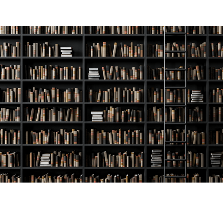 Fototapeta kamienie w różnorodnych książkach - TenStickers