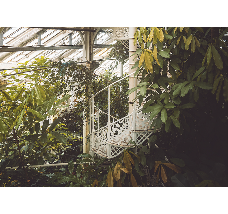 Fototapeta natura oaza bujnej zieleni - TenStickers