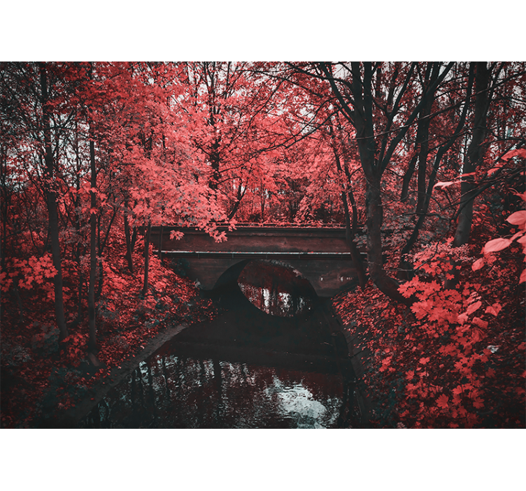 Fototapeta natura leśna sceneria z czerwonymi liśćmi - TenStickers