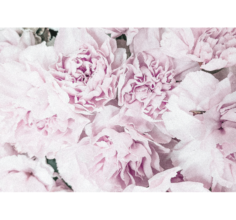 Fototapeta w kwiaty delikatne różowe kwiaty - TenStickers