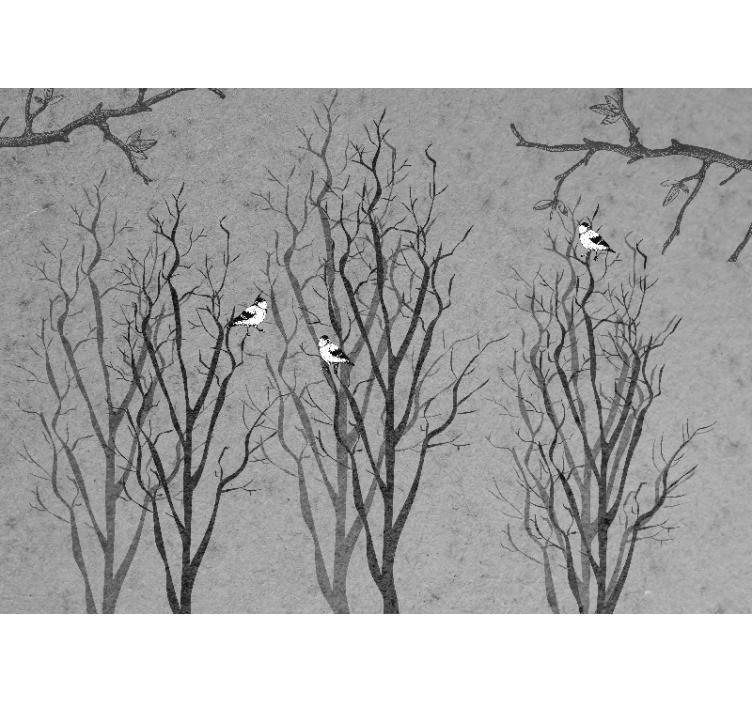 Fototapeta w drzewa gałązki z ptakami - TenStickers