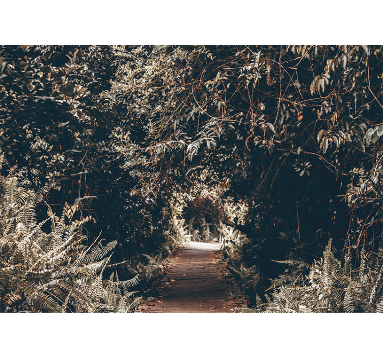 Fototapeta natura Ścieżka leśna - TenStickers