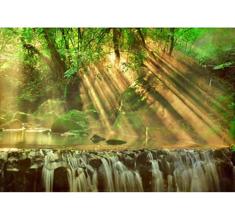 Fototapeta natura płynąca zieleń - TenStickers