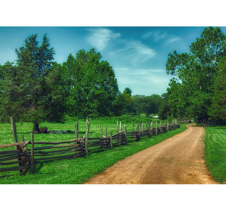 Fototapeta krajobraz zielony, żywy szlak - TenStickers