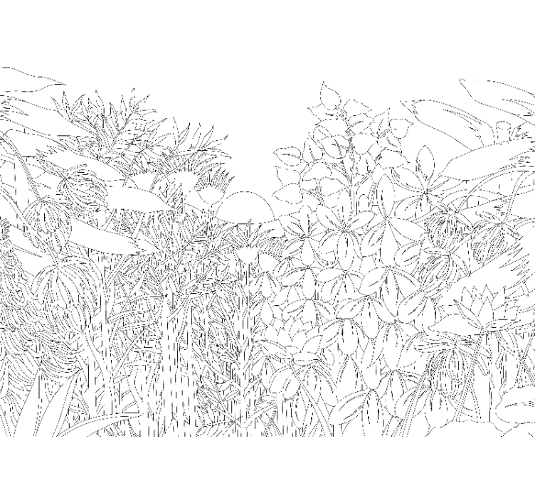 Fototapeta w kwiaty wzór kwiatowej natury - TenStickers