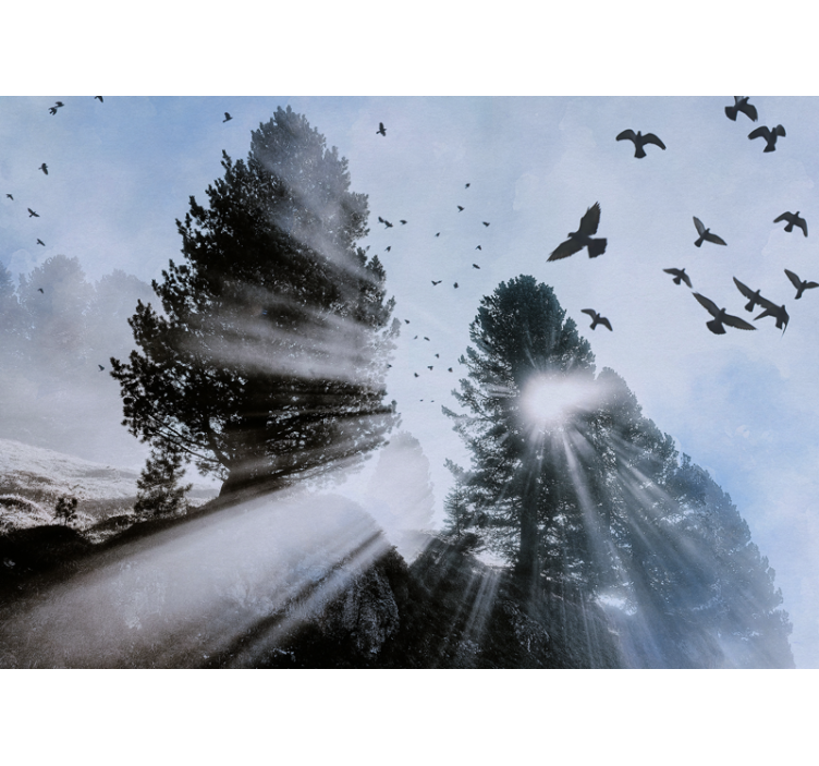 Fototapeta las promieniste promienie lasu z ptakami - TenStickers